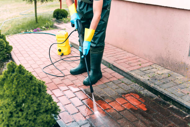 Best Animal Enclosure Cleaning  in Twinsburg Heights, OH